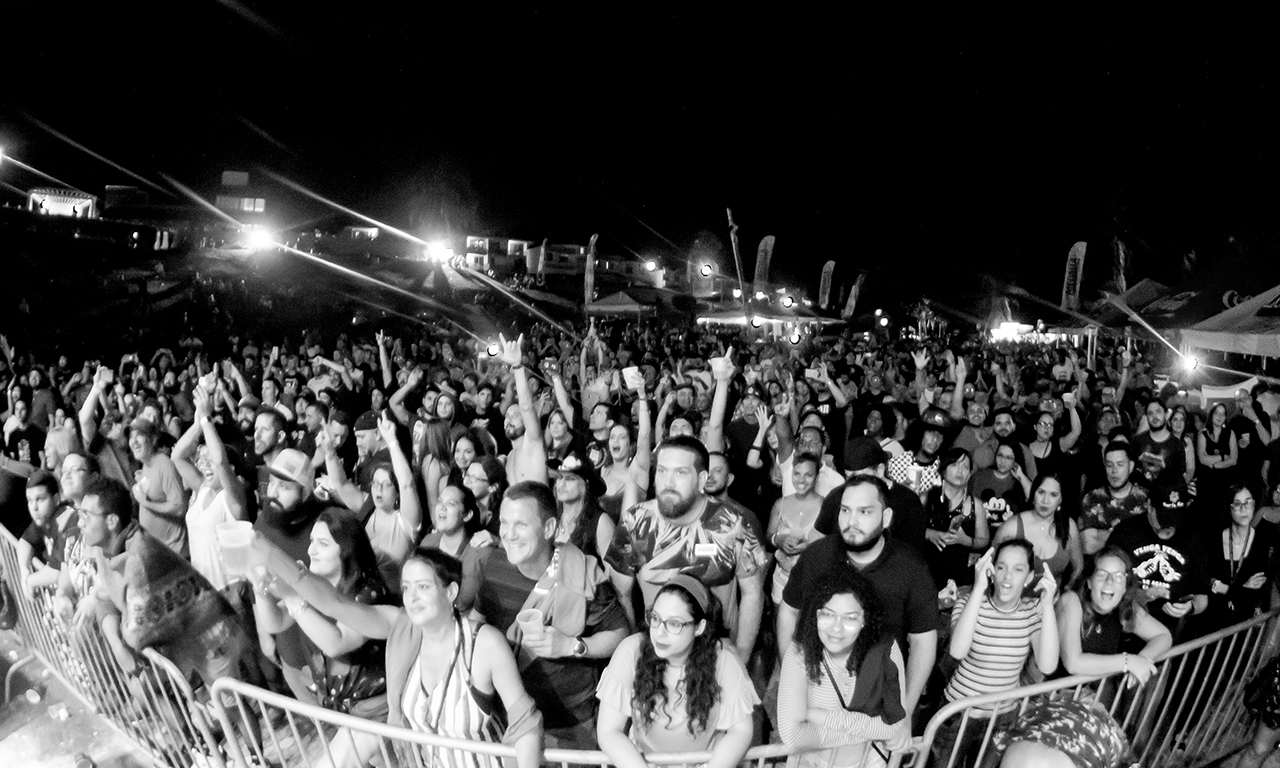 crowd groupies rock fans