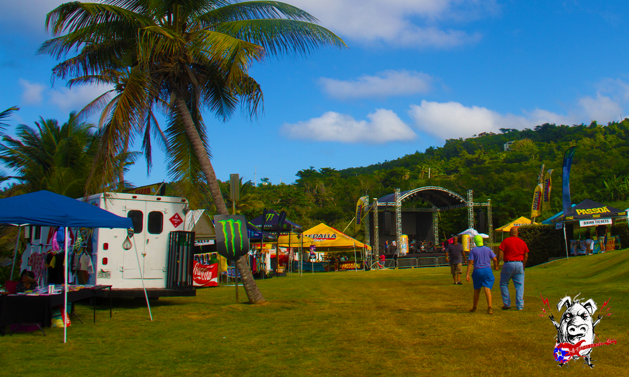 fest entrance gate field show